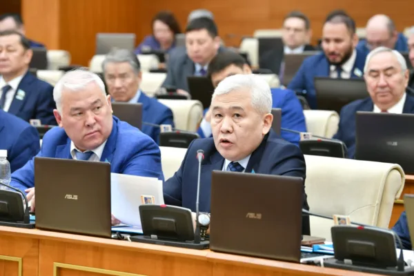 Депутат объяснил необходимость введения должности вице-президента