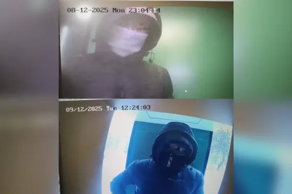 Шымкентте ірі интернет-алаяқтық схемасы анықталды