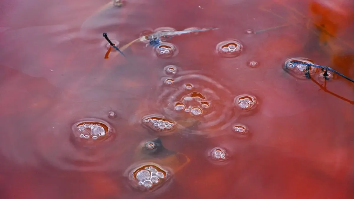 3mWd55WqCRNVLOTWtMocwOG4Q1lBg37RNMdisRjK