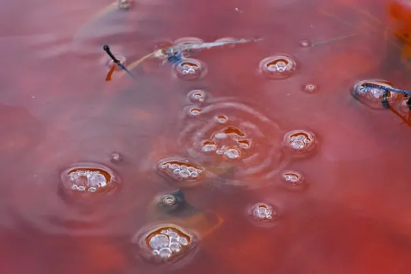 Макинскіде арыққа қызыл су төгілген: Экология департаменті түсінік берді