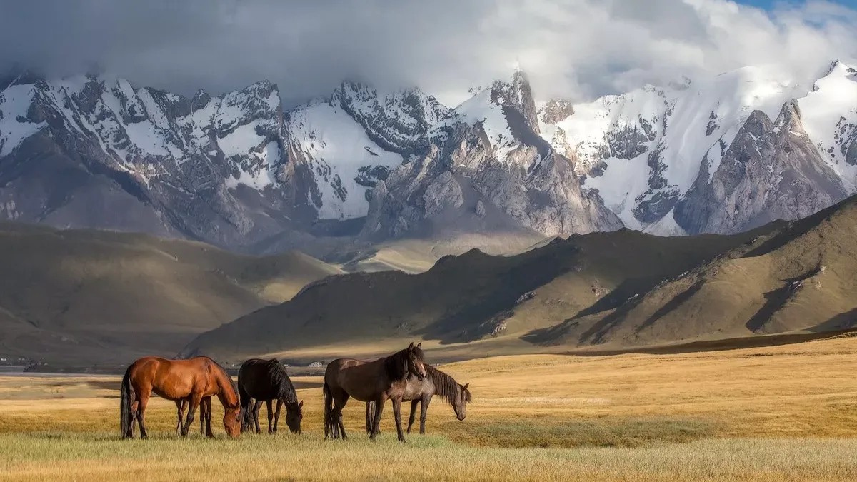 gluster 2021 3 11 8a82ea52bc99170bd0093dcd9e040869 original.225028