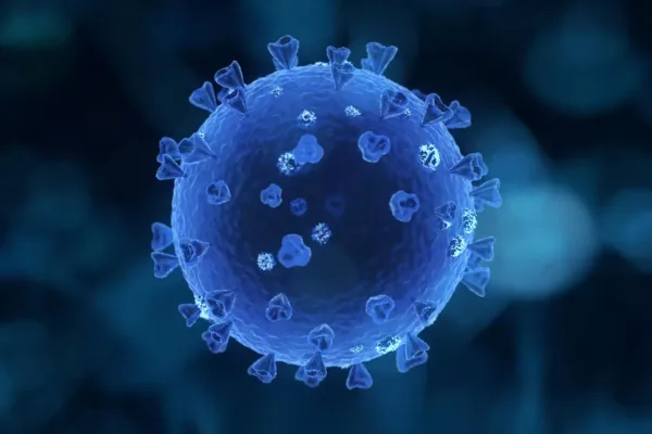 Сообщения о пяти случаях вируса Нипах в Индии оказались фейком