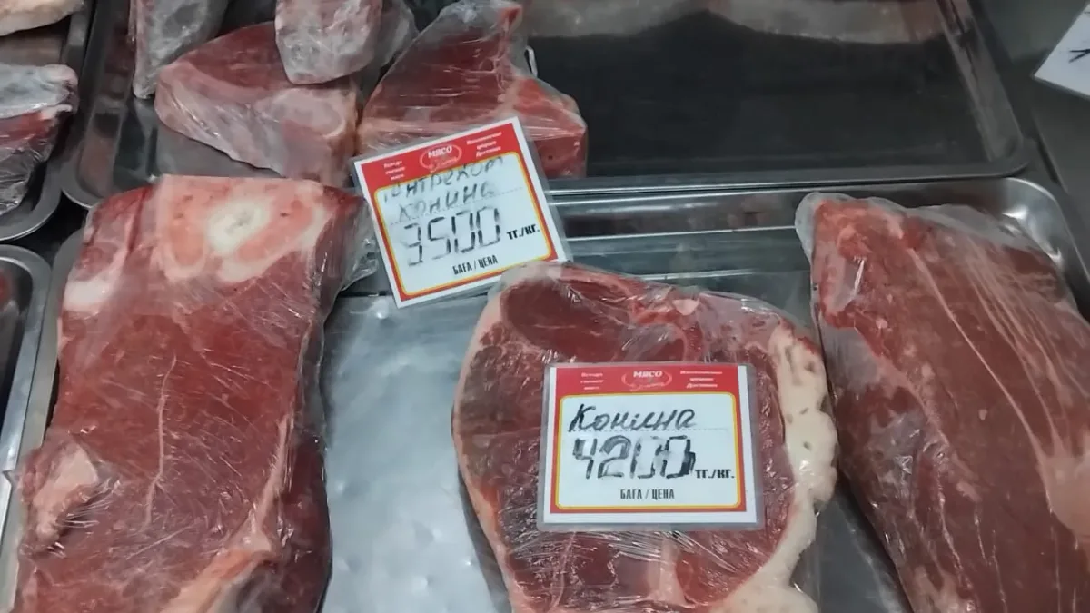 WhatsApp Image 2026 01 26 at 18.07.05