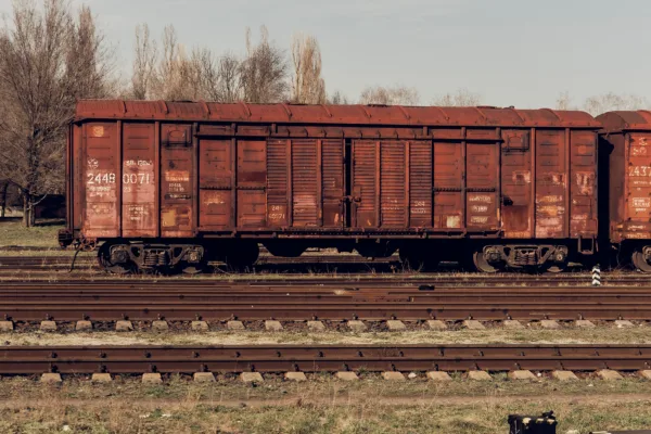 В МСХ прокомментировали слухи о перевозке мяса в вагонах для картофеля