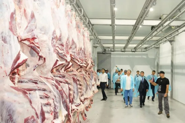 Минсельхоз опроверг сообщения о запрете экспорта говядины