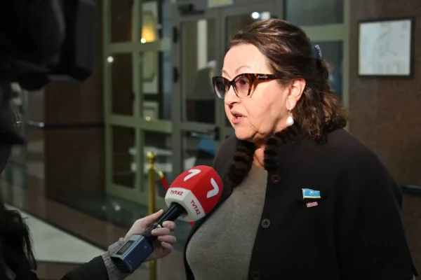 Депутат прокомментировала формулировки о медицине в проекте Конституции