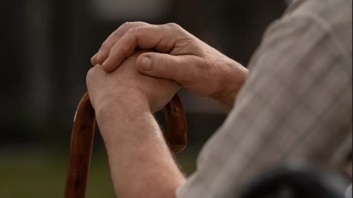 Снимок экрана 2026 02 07 в 13.26.18