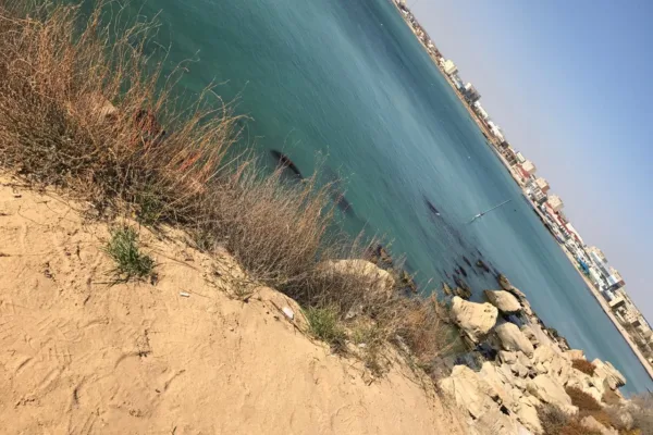 Министр Каспий теңізі күкірттен «қайнап кетеді» деген қауесетке жауап берді