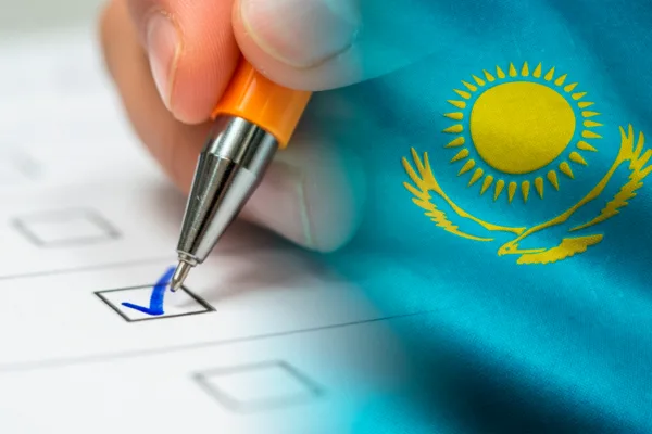 Политолог объяснила зачем распространяют видео о «ручке с исчезающими чернилами»