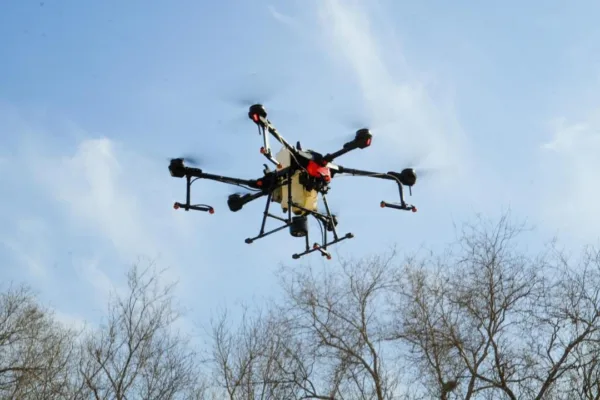 В акимате Астаны развеяли страхи вокруг препаратов от комаров