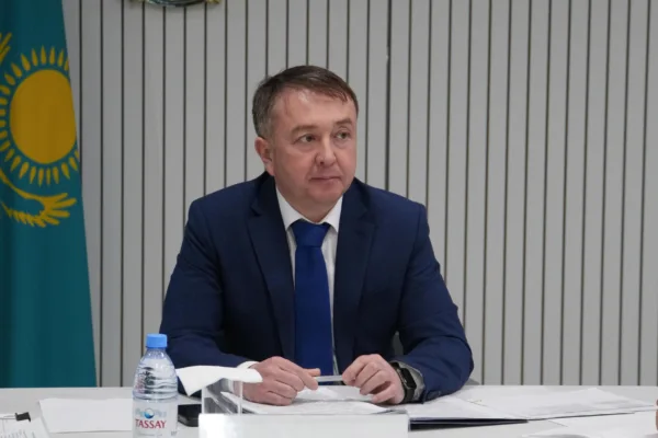 Вице-Президентті кім және қалай тағайындайды: министр түсіндірді