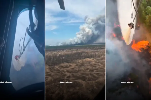 Пожар в лесах области Абай: что известно и что важно знать гражданам